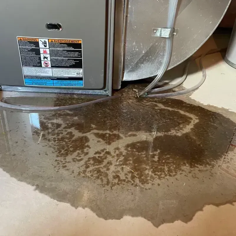 Appliance Leak Cleanup in Pennington, NJ